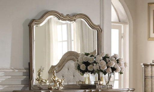 Acme Chelmsford Landscape Mirror in Antique Taupe 26054 - Furniture Stars (Chicago, IL)