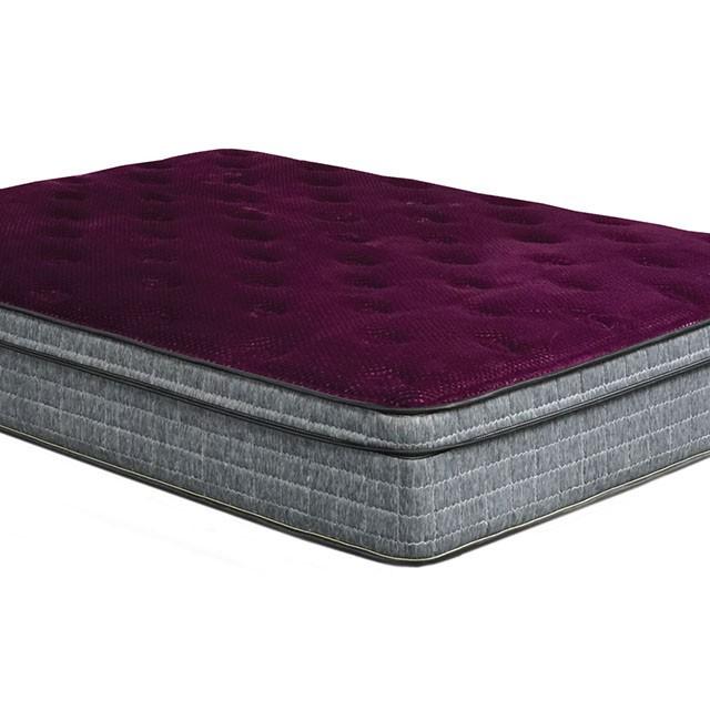 Purple/Grey 13" Euro Pillow Top Mattress Non-Flip, Full - Furniture Stars (Chicago, IL)