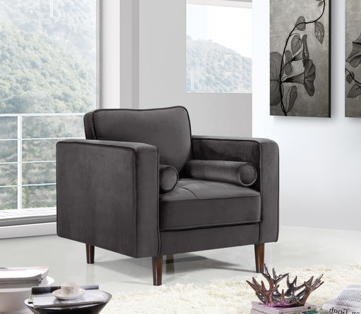 Emily Grey Velvet Chair - Furniture Stars (Chicago, IL)