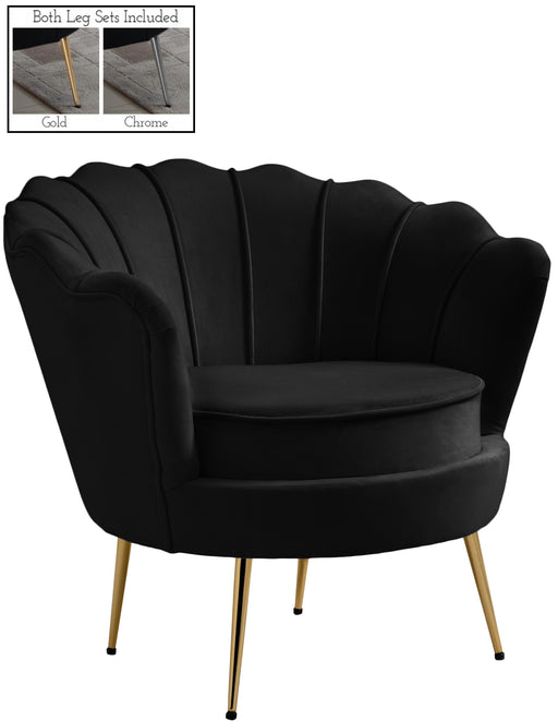Gardenia Black Velvet Chair - Furniture Stars (Chicago, IL)