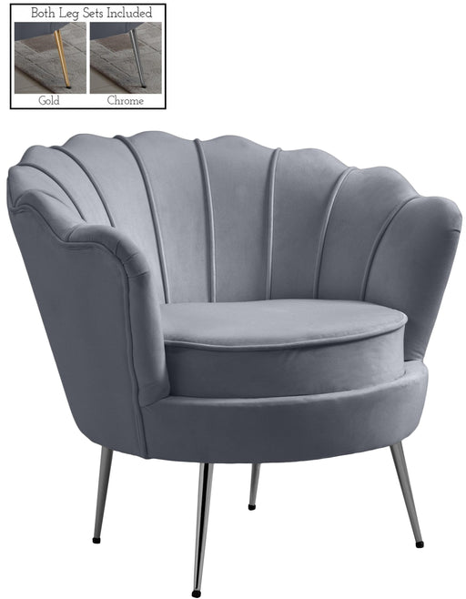 Gardenia Grey Velvet Chair - Furniture Stars (Chicago, IL)