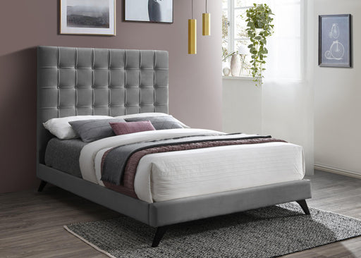 Elly Grey Velvet King Bed - Furniture Stars (Chicago, IL)