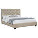 Chloe Panel Bed - Furniture Stars (Chicago, IL)