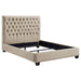 Chloe Panel Bed - Furniture Stars (Chicago, IL)