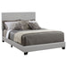 Dorian Panel Bed - Furniture Stars (Chicago, IL)