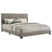 Dorian Panel Bed - Furniture Stars (Chicago, IL)