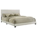 Dorian Panel Bed - Furniture Stars (Chicago, IL)