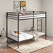 Alevera Bunk Bed - Furniture Stars (Chicago, IL)