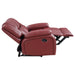 Camila Reclining Loveseat - Furniture Stars (Chicago, IL)