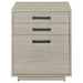 Loomis File Cabinet - Furniture Stars (Chicago, IL)