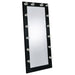 Zayan Floor Mirror with LED Lighting - Furniture Stars (Chicago, IL)