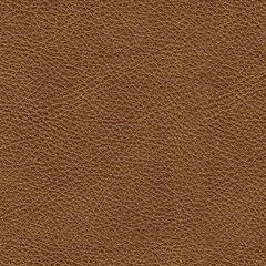 Carianna Sofa - Furniture Stars (Chicago, IL)