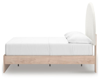 Arloster Upholstered Bed - Furniture Stars (Chicago, IL)
