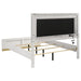 Caraway Queen Bed - Furniture Stars (Chicago, IL)