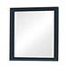 Sandy Beach Vertical Dresser Mirror Black - Furniture Stars (Chicago, IL)