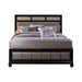 Barzini Queen Upholstered Bed Black and Grey - Furniture Stars (Chicago, IL)
