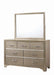 Beaumont Rectangular Dresser Mirror Champagne - Furniture Stars (Chicago, IL)