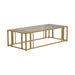Adri Metal Frame Coffee Table Matte Brass - Furniture Stars (Chicago, IL)