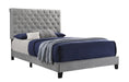 Warner Eastern King Upholstered Bed Grey - Furniture Stars (Chicago, IL)