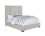 Panes Queen Tufted Upholstered Panel Bed Beige - Furniture Stars (Chicago, IL)