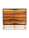 Zara 2-door Accent Cabinet Black Walnut and Gold - Furniture Stars (Chicago, IL)