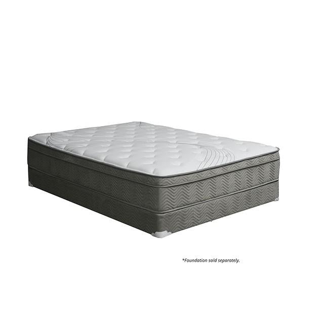 Afton 12 Euro Box Pocket Coil - Furniture Stars (Chicago, IL)