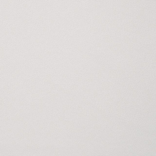 ALISHA Side Chair (2/CTN) - Furniture Stars (Chicago, IL)