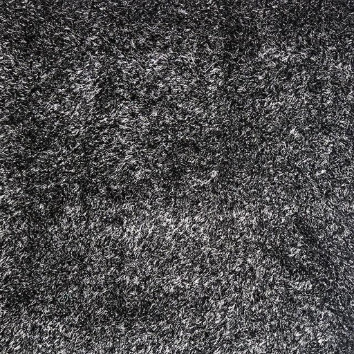 Annmarie Black 5' X 8' Area Rug - Furniture Stars (Chicago, IL)