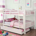 Cameron Dark Walnut, White & Gray Full/Full Bunk Bed - Furniture Stars (Chicago, IL)