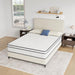 Catmint 10" Full Innerspring Mattress - Furniture Stars (Chicago, IL)