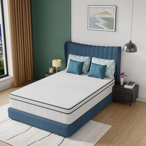 Catmint 12" Full Innerspring Mattress - Furniture Stars (Chicago, IL)