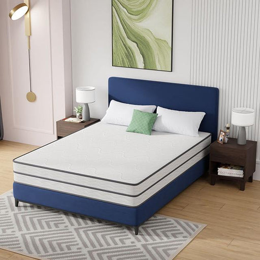 Catmint Mattress - Furniture Stars (Chicago, IL)