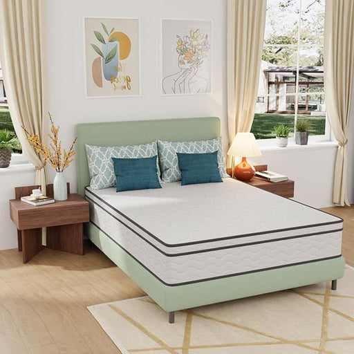 Catmint Mattress - Furniture Stars (Chicago, IL)