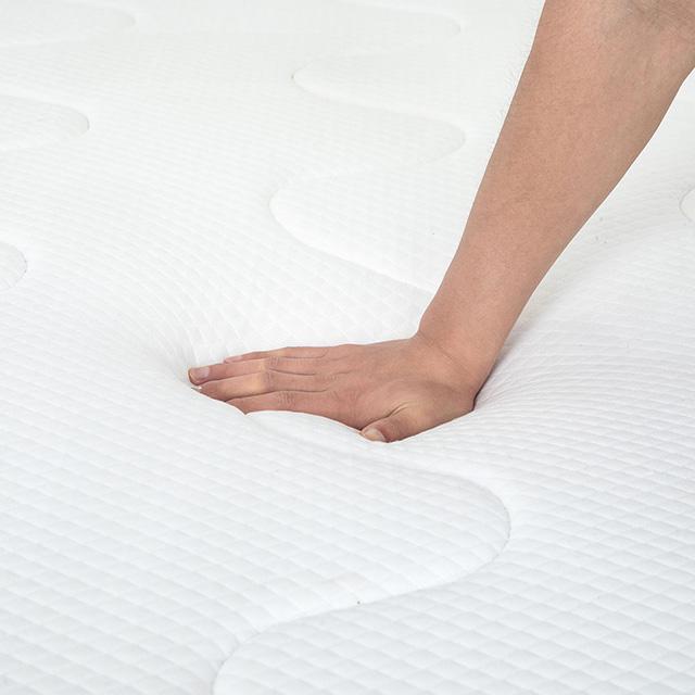 Catmint 12" Full Innerspring Mattress - Furniture Stars (Chicago, IL)