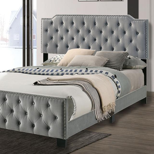 Charlize Bed Grey & Navy - Furniture Stars (Chicago, IL)
