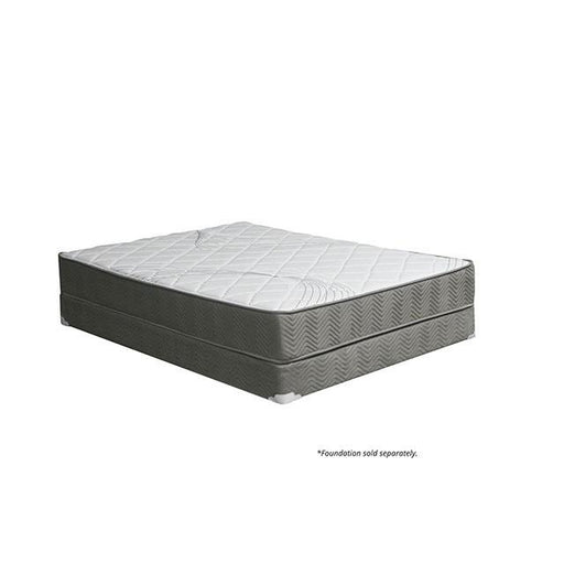 EDREA White/Gray 10" Tight Top Pocket Coil, Cal.King - Furniture Stars (Chicago, IL)