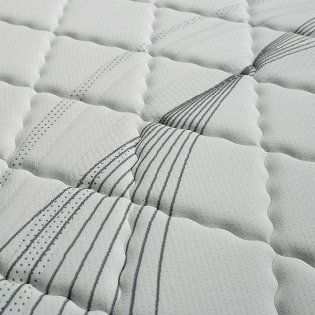 EDREA White/Gray 10" Tight Top Pocket Coil, Cal.King - Furniture Stars (Chicago, IL)
