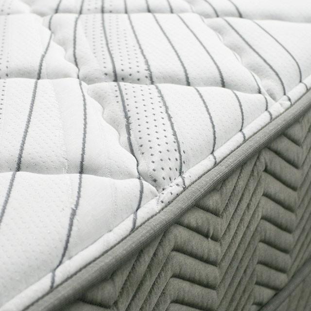 EDREA White/Gray 10" Tight Top Pocket Coil, E.King - Furniture Stars (Chicago, IL)