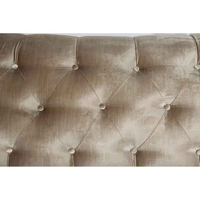 ELICIA Loveseat - Furniture Stars (Chicago, IL)