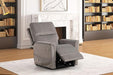 Ferdinandus Lift Chair - Furniture Stars (Chicago, IL)