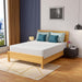 Coreopsis 12" Queen Memory Foam Wave Comfort - Furniture Stars (Chicago, IL)