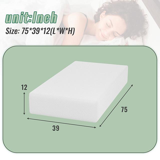 Coreopsis 12" Twin Memory Foam Wave Comfort - Furniture Stars (Chicago, IL)