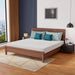 Coreopsis 8" E.King Memory Foam Wave Comfort - Furniture Stars (Chicago, IL)