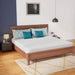 Coreopsis 8" E.King Memory Foam Wave Comfort - Furniture Stars (Chicago, IL)