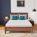 Coreopsis 8" Queen Memory Foam Wave Comfort - Furniture Stars (Chicago, IL)