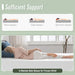 Coreopsis 8" E.King Memory Foam Wave Comfort - Furniture Stars (Chicago, IL)