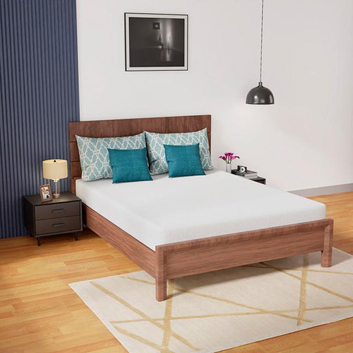 Coreopsis Mattress - Furniture Stars (Chicago, IL)