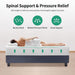 Forsythia 12" Queen Green Tea Gel Memory Foam - Furniture Stars (Chicago, IL)