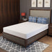 Forsythia 8" Full Green Tea Gel Memory Foam - Furniture Stars (Chicago, IL)
