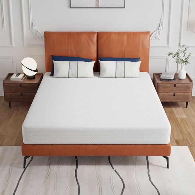 Forsythia 8" Queen Green Tea Gel Memory Foam - Furniture Stars (Chicago, IL)